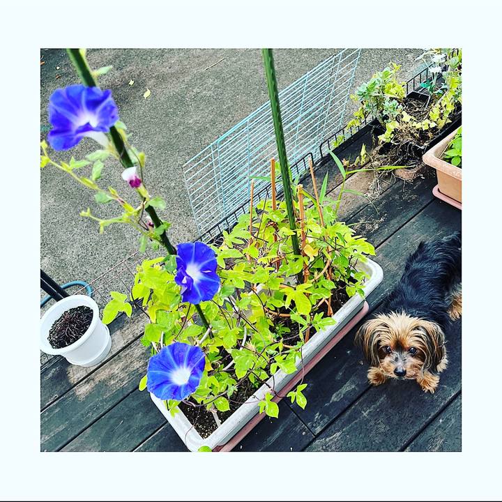 E696d370 3f46 4a01 b66e 8ed9a99e4a1a 1693088454663