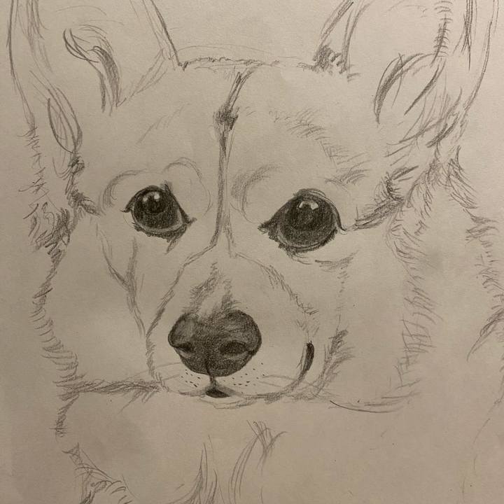 E696dee5 58c7 4082 9c3e c065727b8ebf 1614346366568