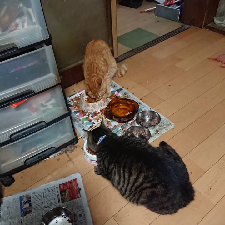 E696f3d0 b072 4fb5 8a9d 3c4a3a77cac3 1656969414072