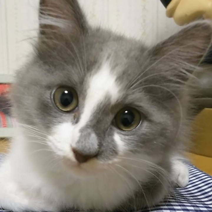 E6972934 36d3 4d11 af7b a576a121a639 1562900779348