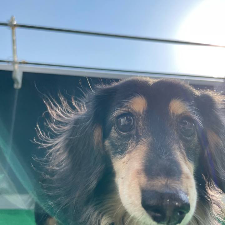 E6973fb7 c2e5 40d0 a44d 6f96986fd4ed 1647261920252