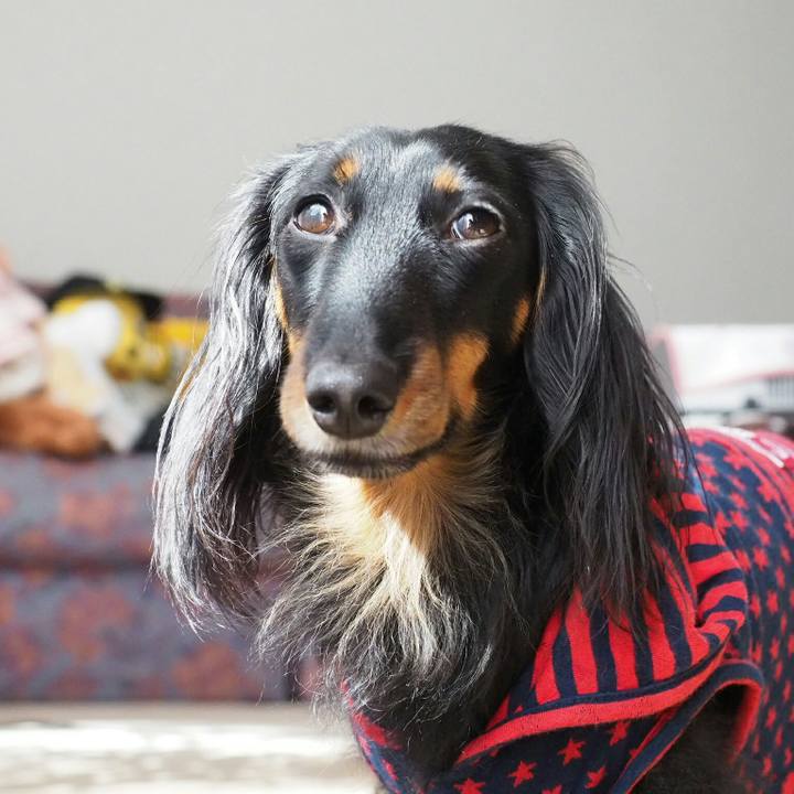 E6975003 28b2 4347 bbe9 f465996aa94e 1520911357911