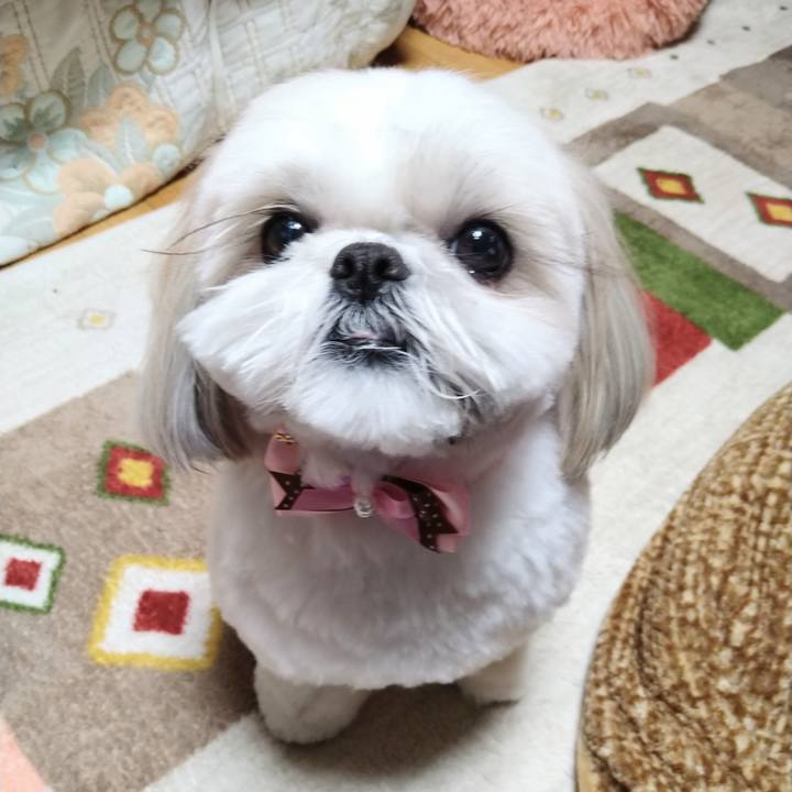 E6976001 c330 4dfb 80fb 201fca1a161e 1644920940322