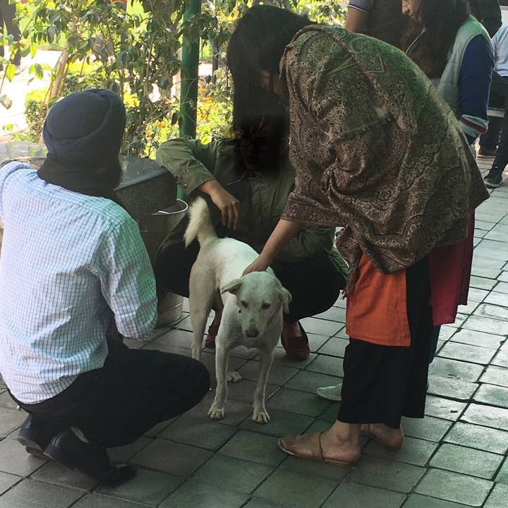 E697c655 77ef 447e 821e 9309dd346b2a 1552874565761