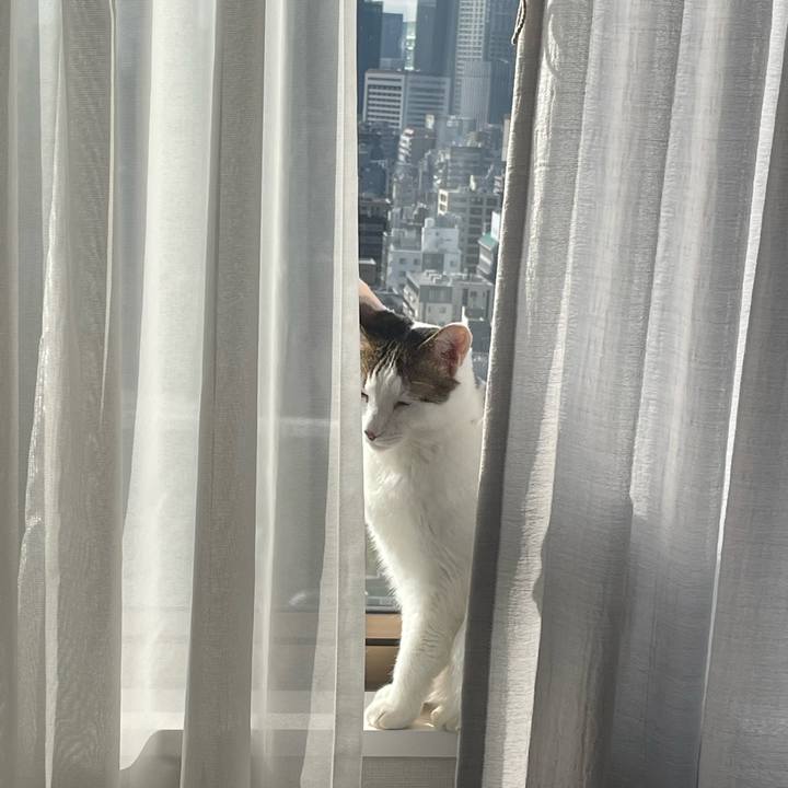 E69837a0 bda0 4f08 b965 b8b931f11545 1766128349845