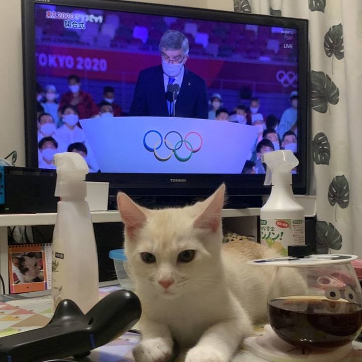 E6983901 ccd9 410d 897d ef18ff74b99a 1627088071484