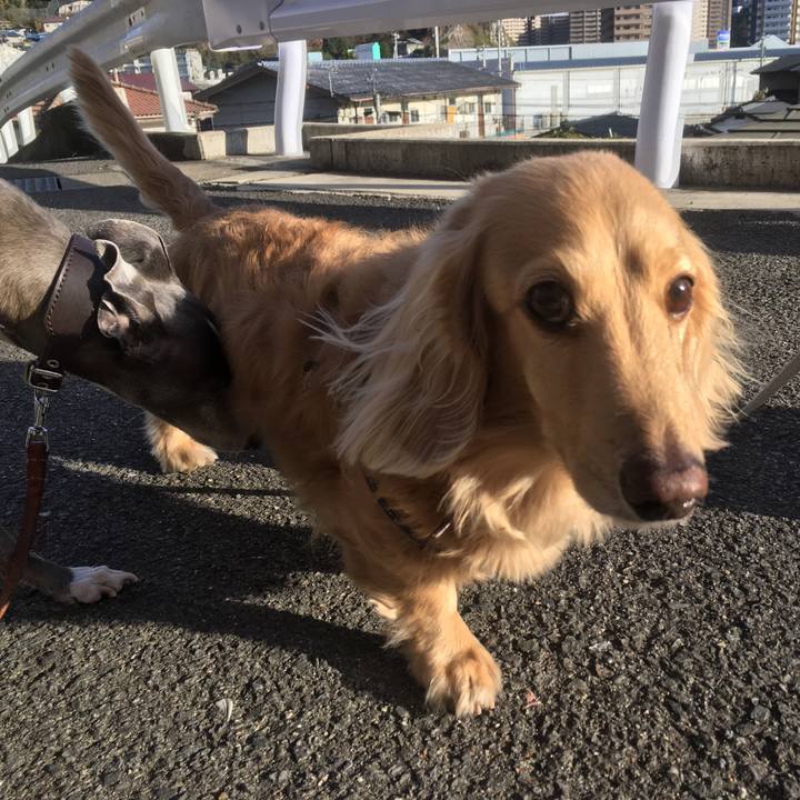 E6989a16 15b4 4c1e 80a4 fe236bc1c8d7 1514966118901