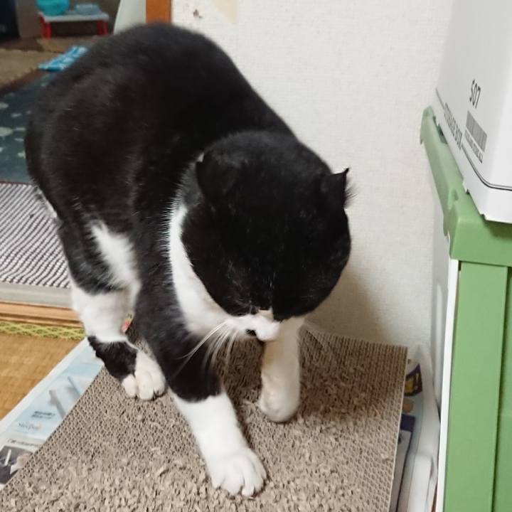 E698b7db b7cb 4d13 9ae6 a4a340cbe315 1674519799682