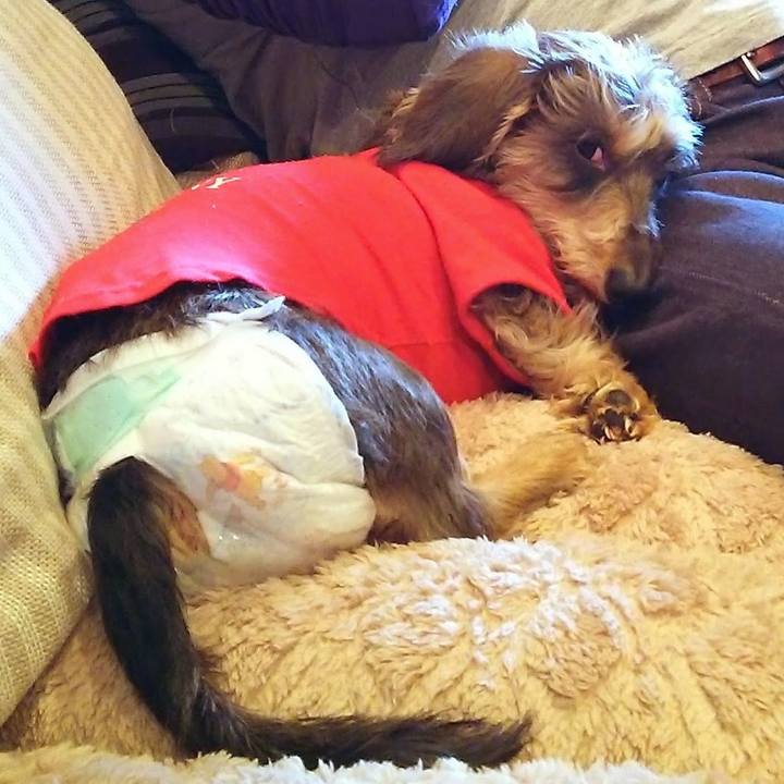 E698c9cc 7ae4 4d47 8788 bedc10f48468 1631257272762