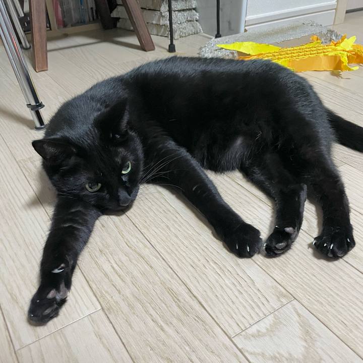 E698d3cd c665 43db 9de5 ab9a3de01ac4 1702635057987