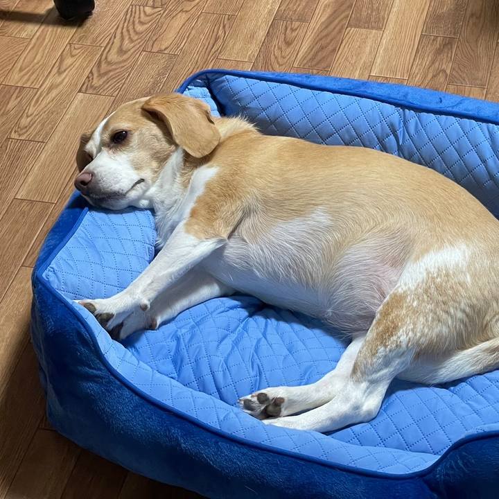 E698d64c 3bca 4a04 9553 a139c1fa5058 1657951426345