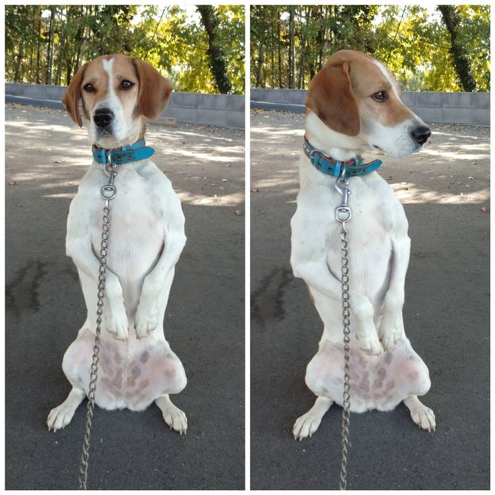 E698e87d 3b26 4452 b46a 7a4969878846 1605756159946