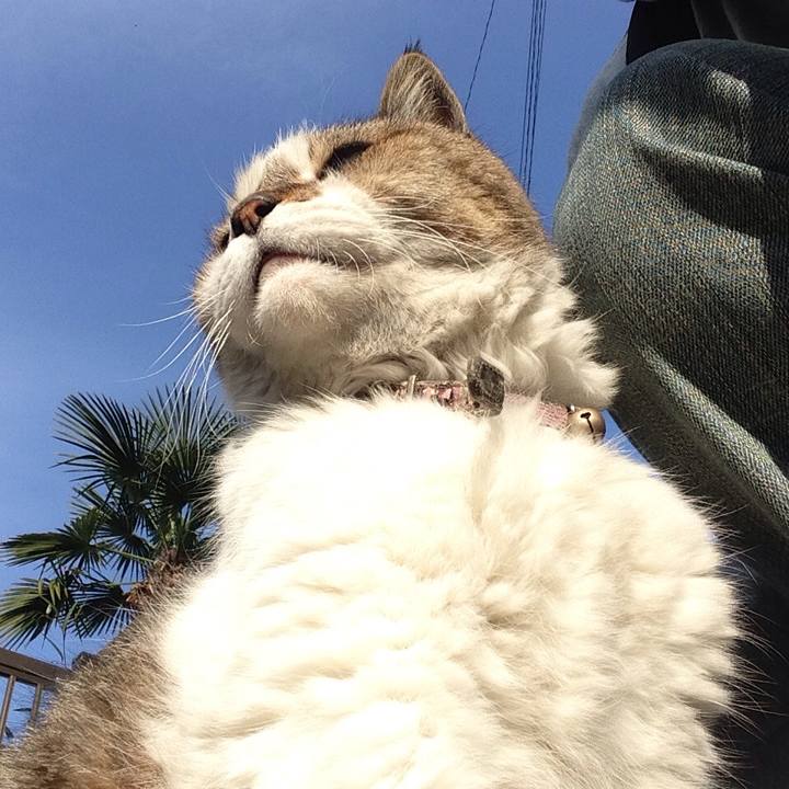 E698f1cc 4464 471b b0ae 76f20285d5f2 1510574228310