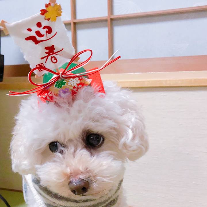 E6991aa2 a87e 476c 8283 22142d62f9e1 1546780181995