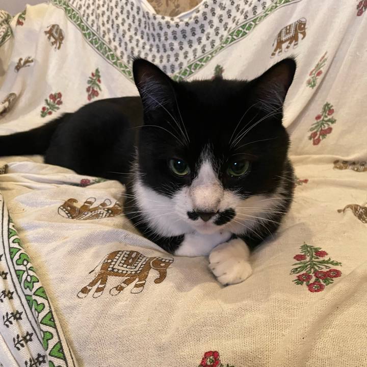 E6993fff 5622 4166 8c46 3ec2e425007e 1685630652130