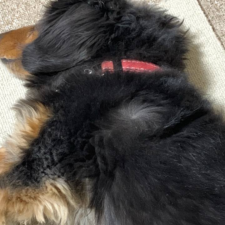 E6994a85 a387 4b6c bb92 51458347fb19 1548453732881