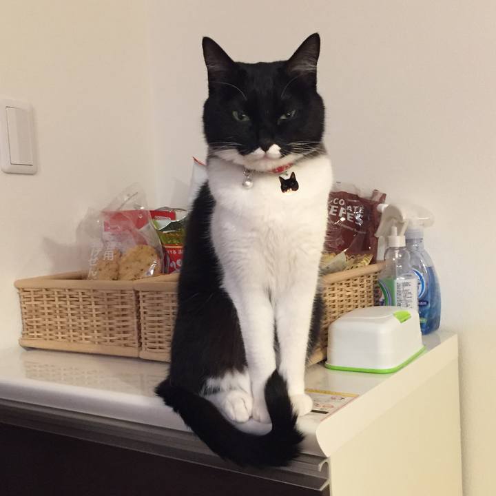 E6998431 09b6 4603 9741 8663edc03f7c 1521720630401