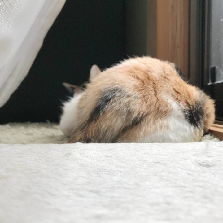 E699a498 0bba 4076 be17 1631b569319c 1535940241972