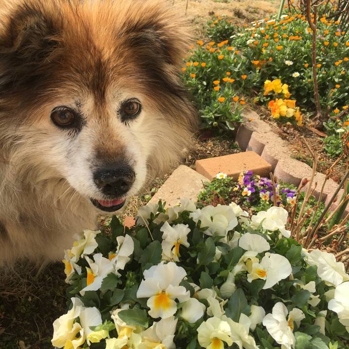 E699c9aa 3d4d 44d9 95ff 3cab09bf11ae 1571032143809