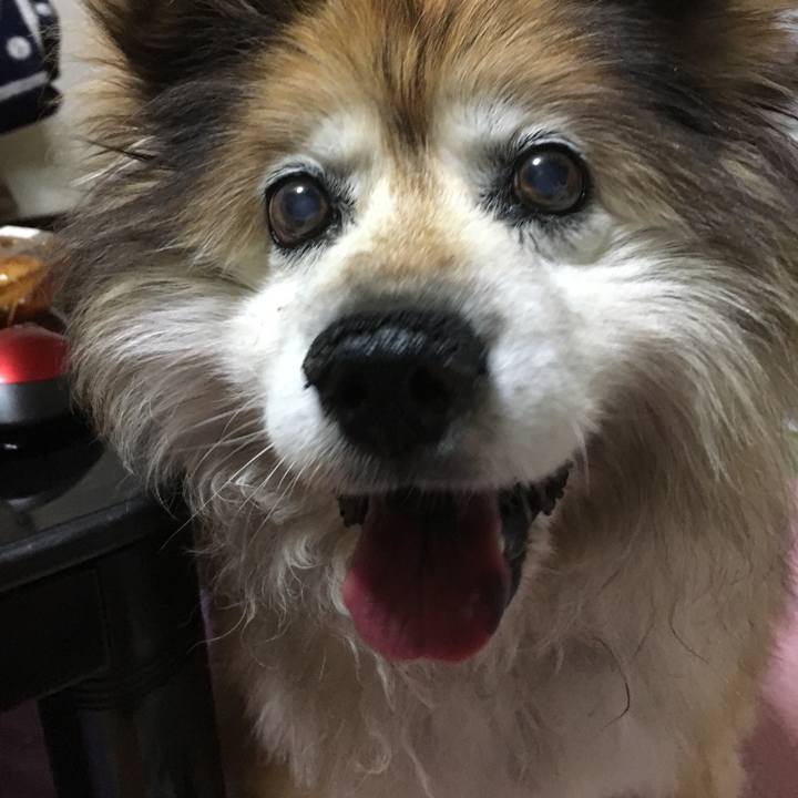 E699e091 3f80 42fc a05e 207ebc471aaf 1626408762106