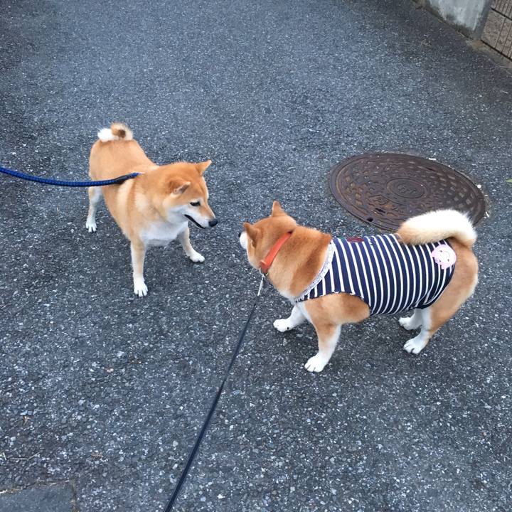 E699e42f 417a 4371 b9f5 8a0d901aee2a 1540025504333