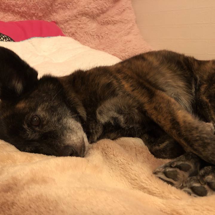 E69a2462 563a 4d0c 8d60 53c59763e533 1613401400977