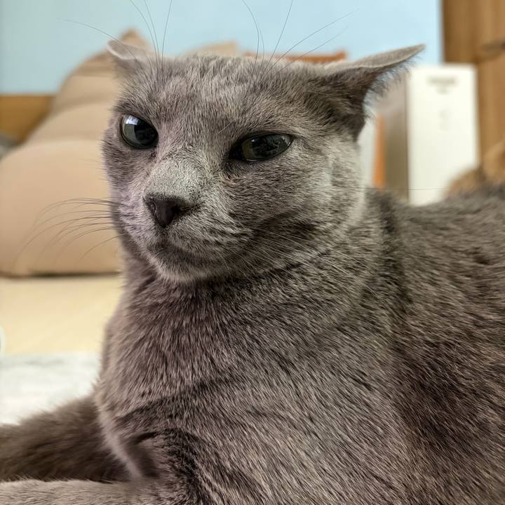 E69a27e7 6ff2 4113 97f5 efdf4db69293 1764028455736