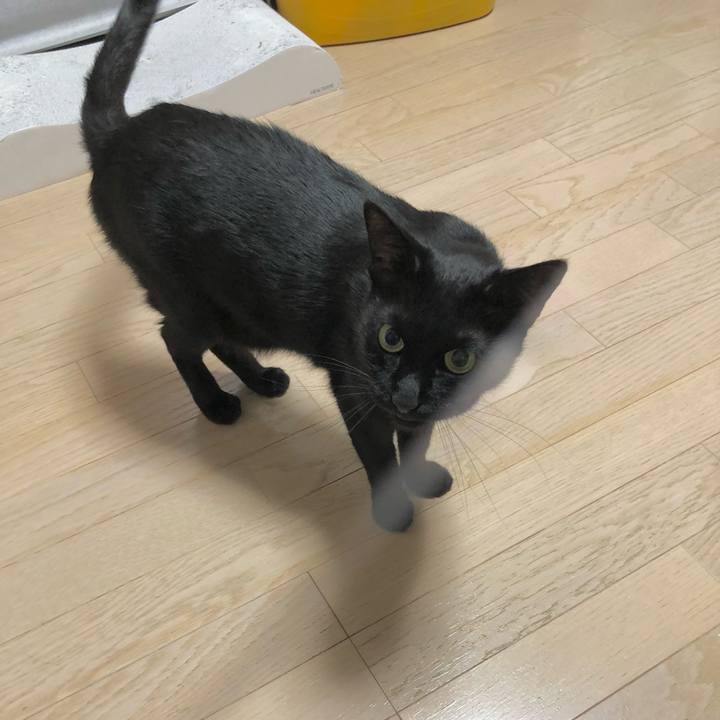 E69a5edd fc15 4805 b79c 2634375ce655 1630507802510