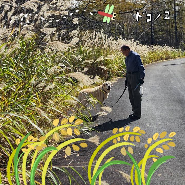 E69a6c9f 2b4b 4def b78e 34e40e559660 1761308333636