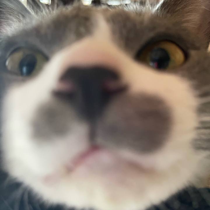 E69a8460 1535 4e9d b6d2 c84a6d272be0 1661643685095