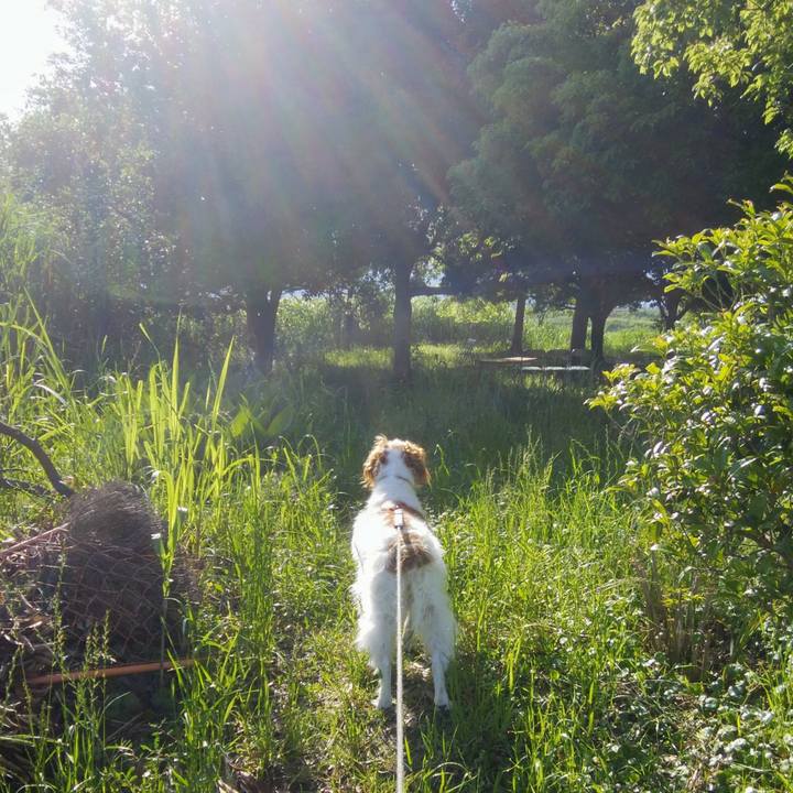 E69a98d2 a39b 4f2b 83c1 c8d210c1865a 1559173968429