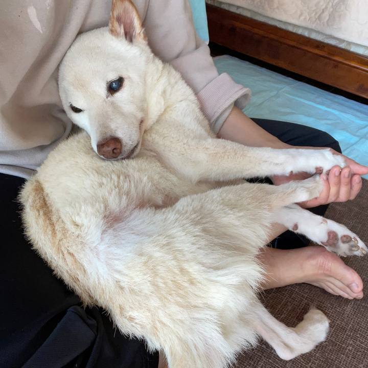 E69b074b f948 424a a5a2 bae3cb4d5f4f 1668488598392