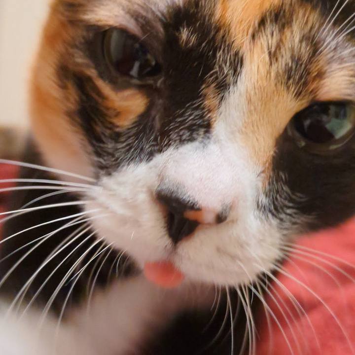 E69b7679 399e 4a39 a772 6f4c770ce645 1696994337023