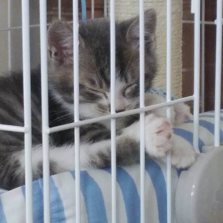 E69b7ad6 7a6e 4675 bf5b 2b9ba526d4c1 1560228603795