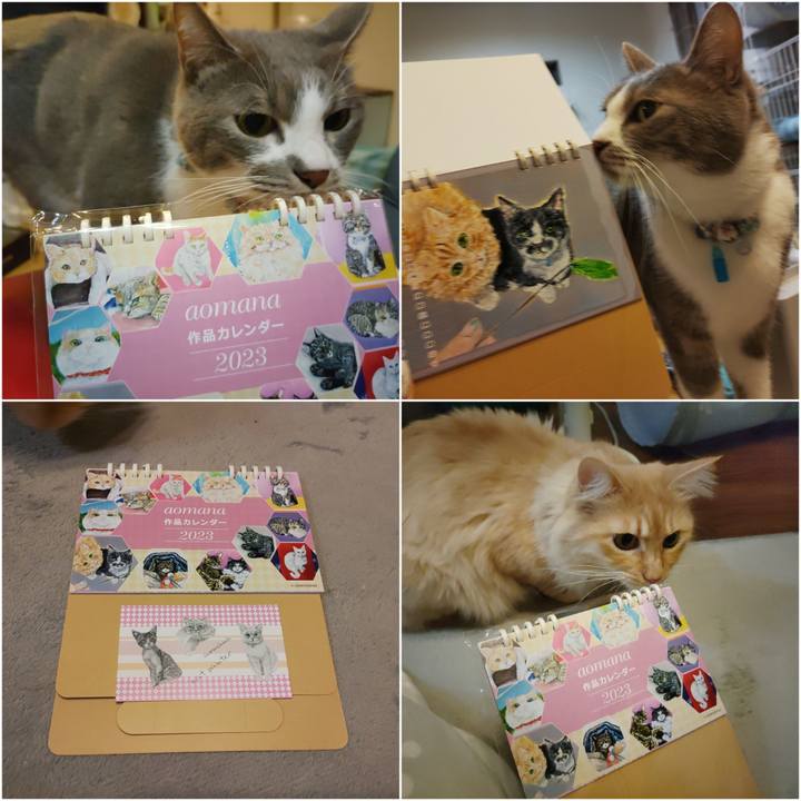 E69c0e2f 8003 4cd0 80b7 0667a80119a0 1670140594092