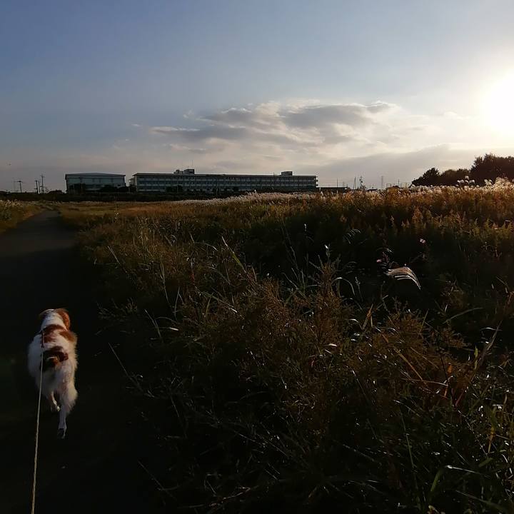 E69c0f32 e974 4b91 b58b fce7e1ad7429 1603961525754