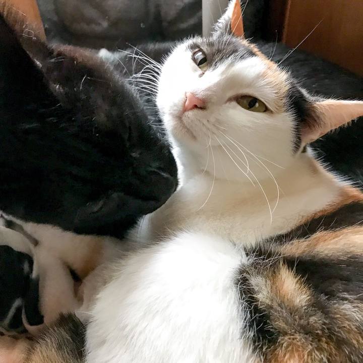 E69c1ebd 1acc 4fc4 90a6 5bd922069f24 1511053585868