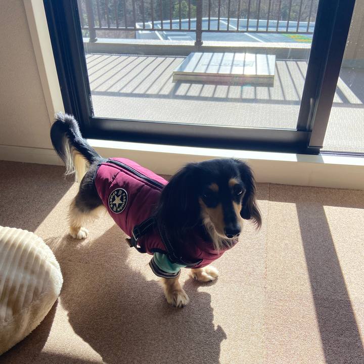 E69c25ca 6e5a 4d45 89f6 a34ffe4c17ab 1738636890253