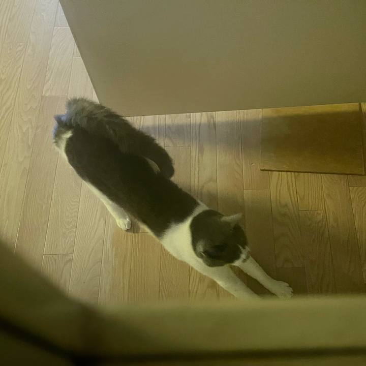 E69c7589 3981 4f18 a8a5 0c0d5026a73d 1650527722460