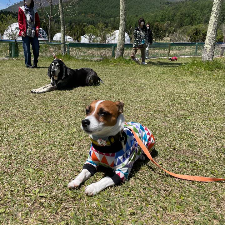 E69c846e 70c4 4303 a78a f7b26c994b15 1652158604413