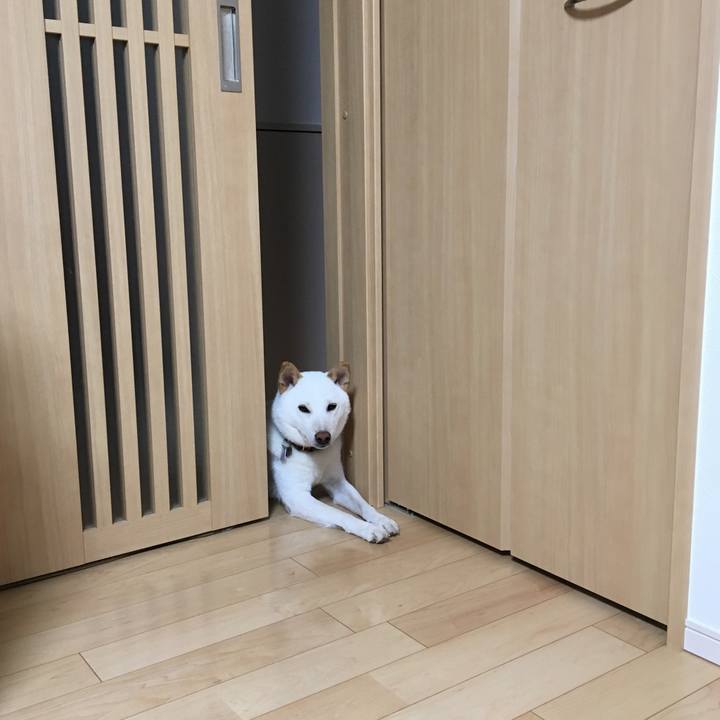 E69c884f ca47 44fc 85f7 5f59c28878df 1542273962549