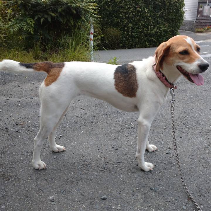 E69c8b5f a2d3 4cab 9a6e 03de3ad19dd4 1595314710318