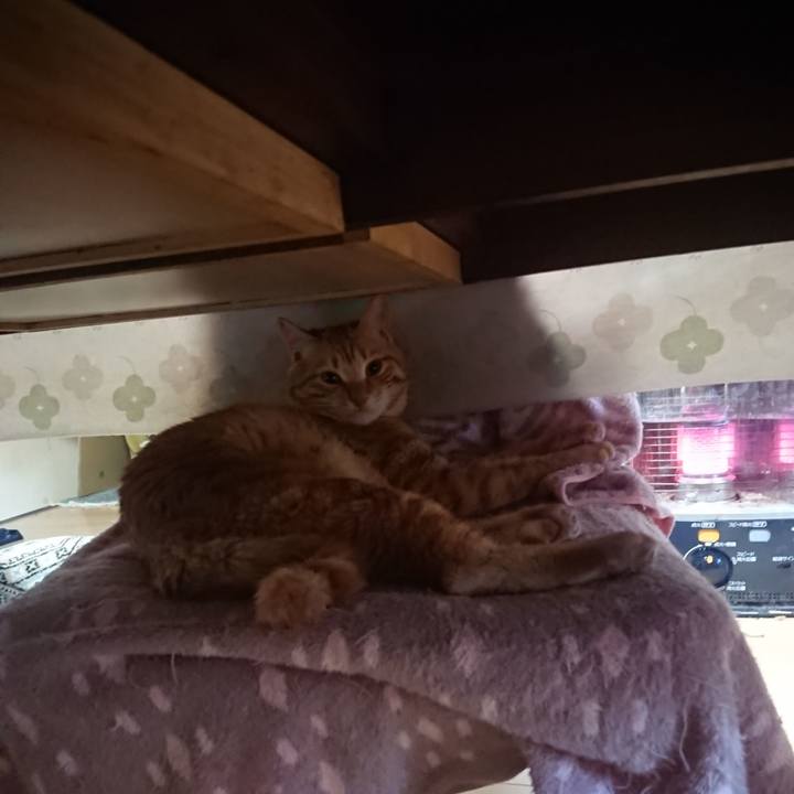 E69c8f4c 3193 45bb 9d69 4e72b9012f63 1645656226602