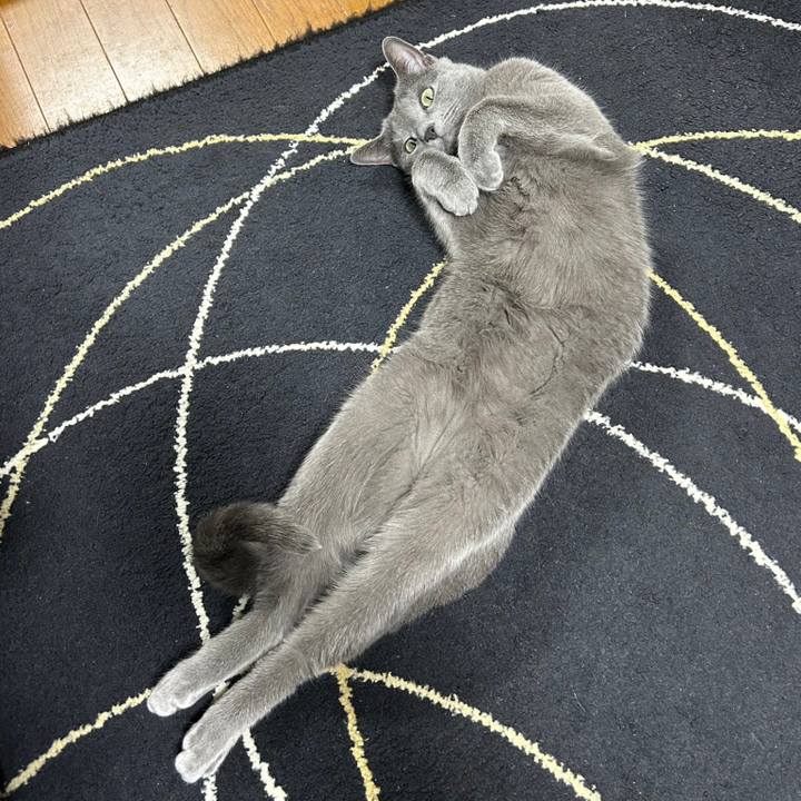 E69c93ab 750c 4951 ac47 5e33800e414a 1681576099555