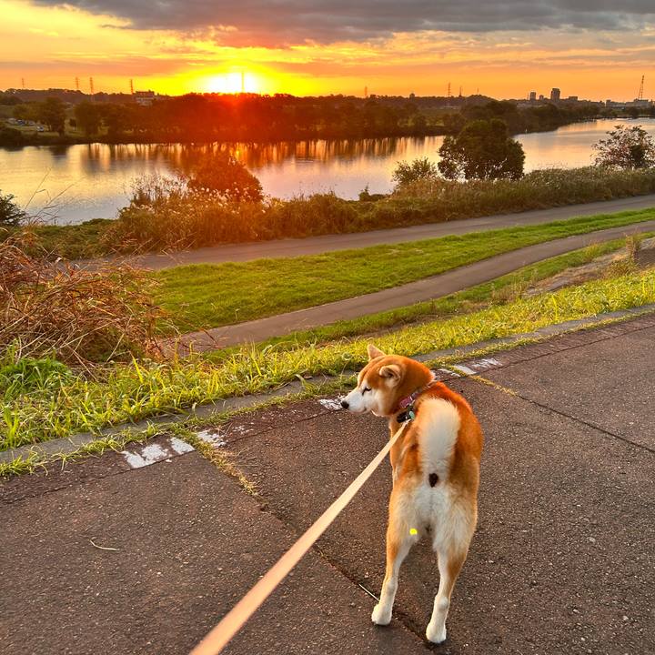 E69c9948 0299 4883 8869 d2b432048e9d 1763286407394