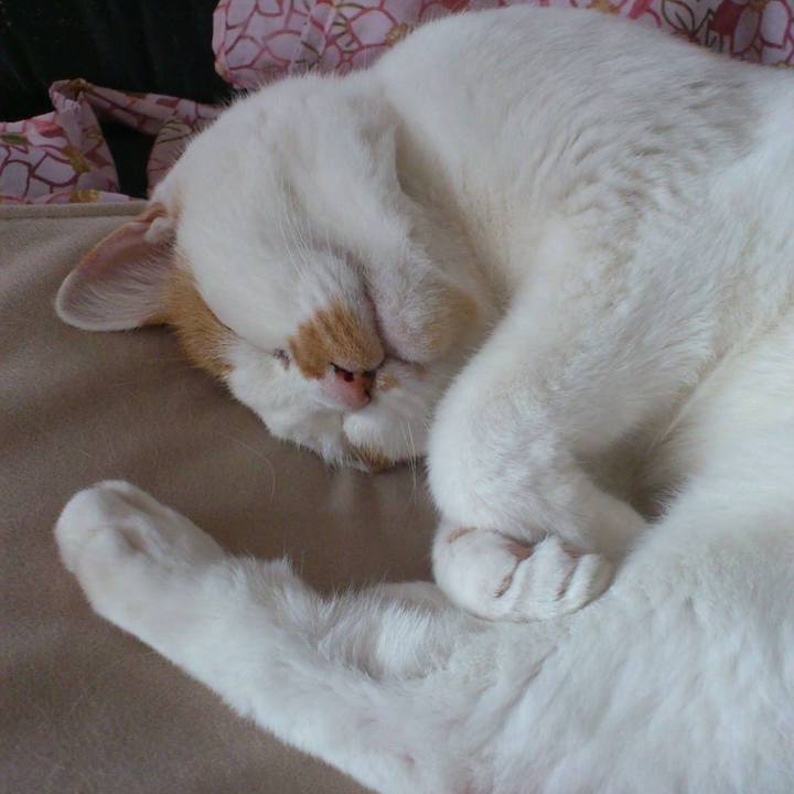 E69cb3c2 c898 4c98 a231 9ea3a99a9c16 1657971098814