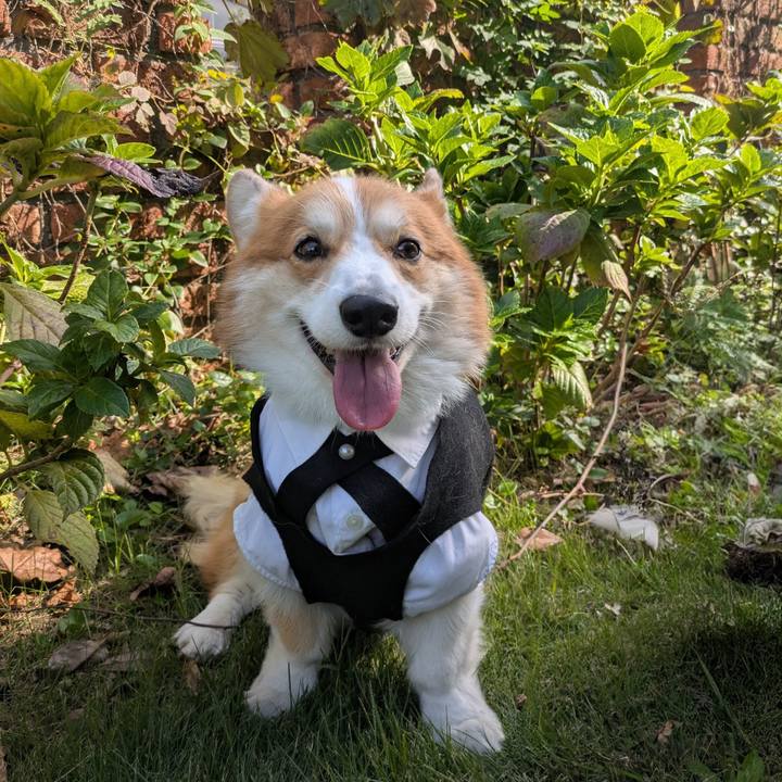 E69cba65 1054 4907 8848 db410f9cfc07 1761885093678