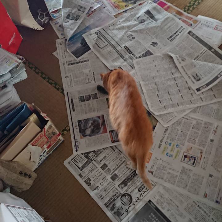 E69d0642 0682 4022 bf77 de0bcde7746c 1573342317533