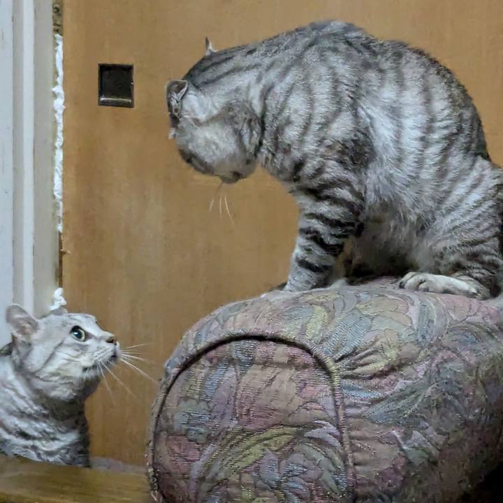 E69d1494 59f7 4260 b562 fb609f2e9d04 1721900869696