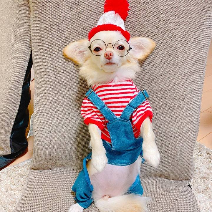 E69d1de4 3b71 4b95 baa3 f35d0b9dd816 1635601806827